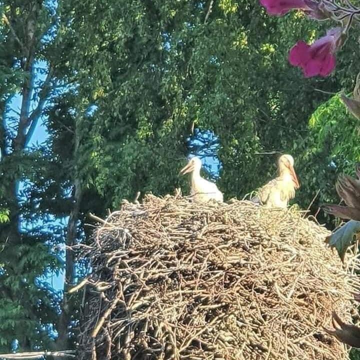 B&B Rando & Kaerdi Juures Oue Lyuganuse Kültér fotó