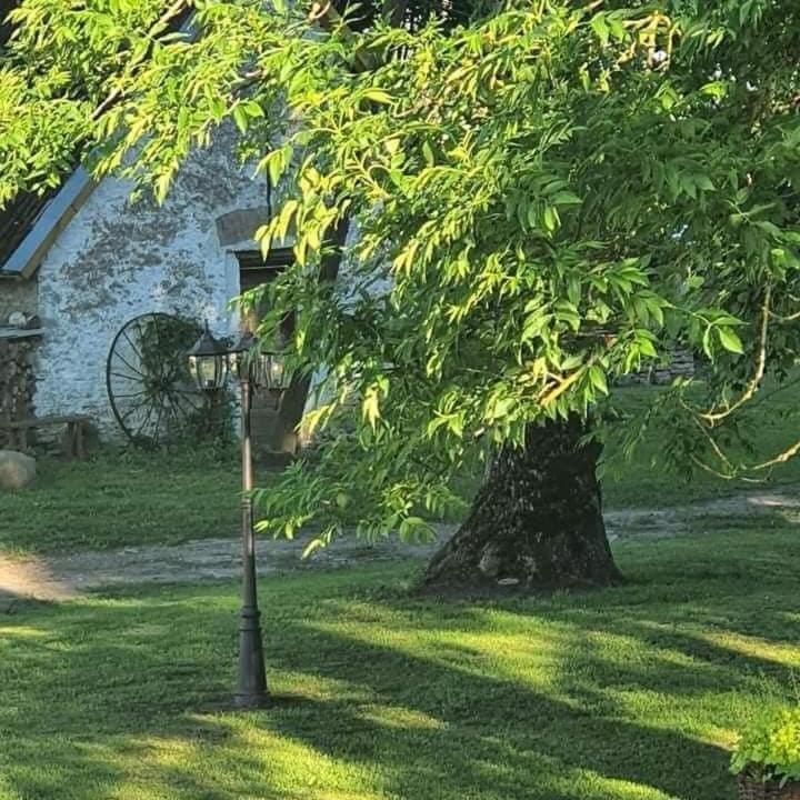 B&B Rando & Kaerdi Juures Oue Lyuganuse Kültér fotó