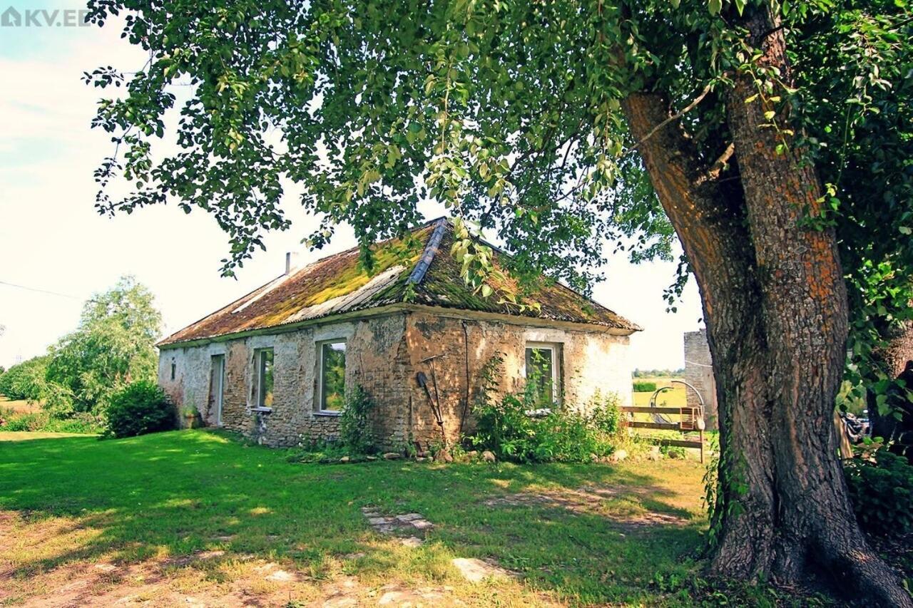 B&B Rando & Kaerdi Juures Oue Lyuganuse Kültér fotó